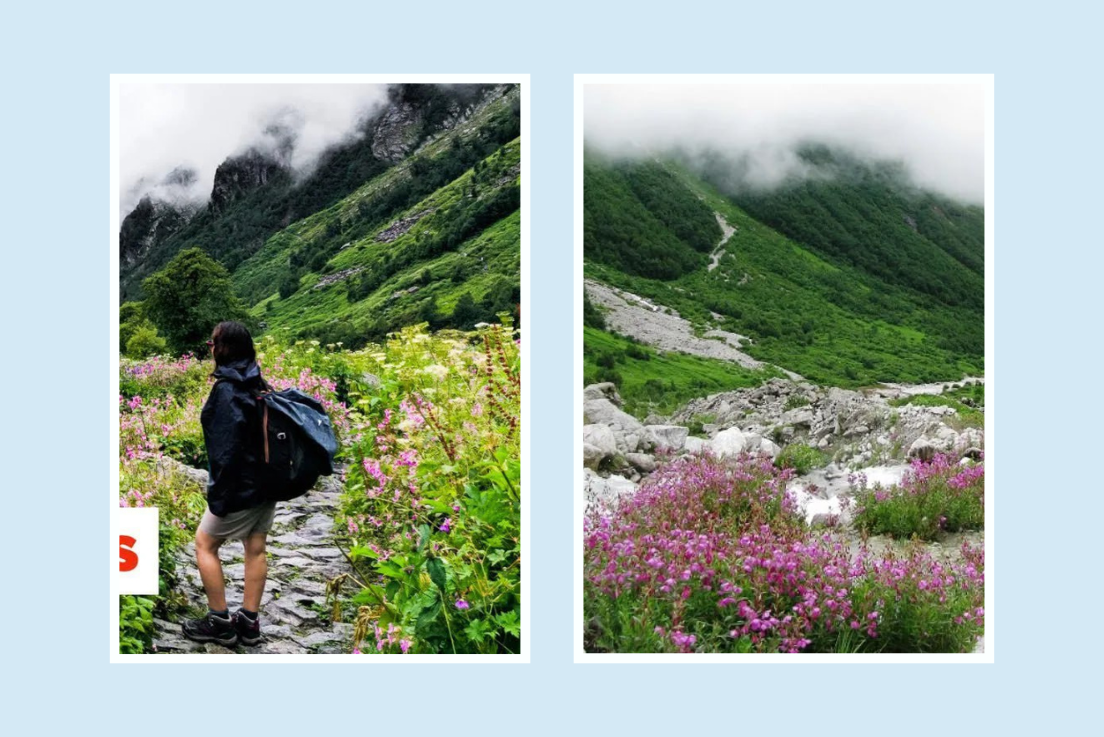 Home - Divine Travels Rishikesh