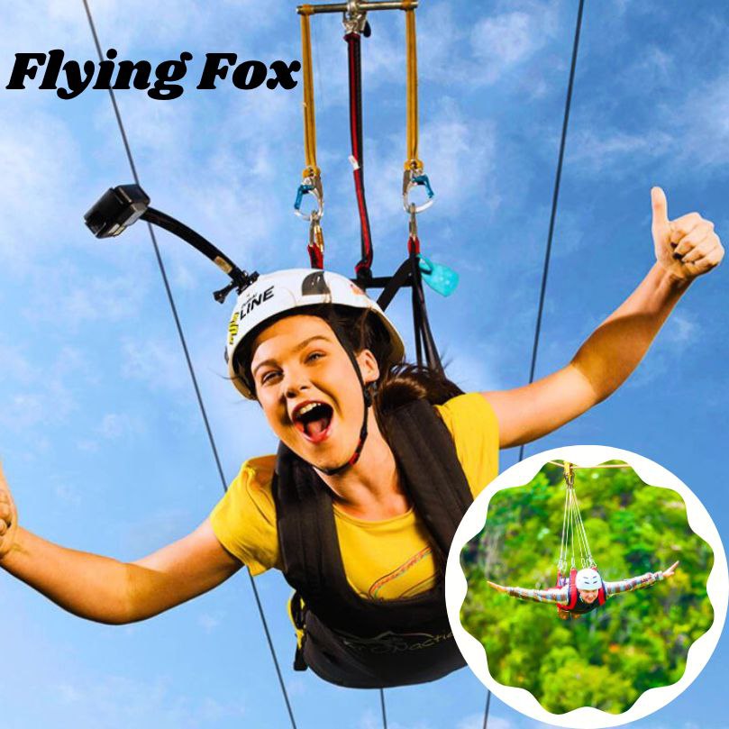 Flying Fox